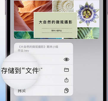 安宁apple维修中心分享iPhone文件应用中存储和找到下载文件