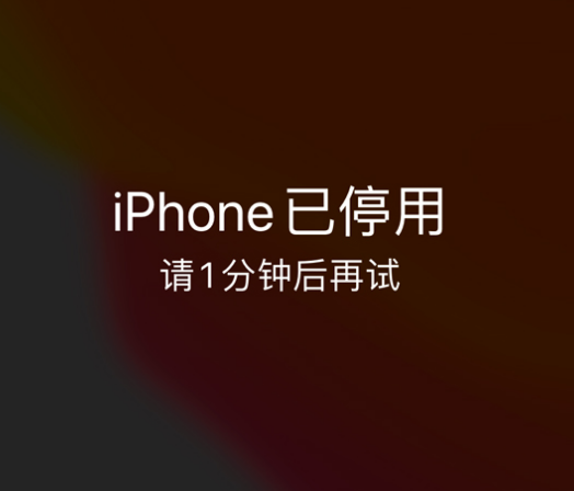 安宁苹果手机维修分享:iPhone 显示“不可用”或“已停用”怎么办？还能保留数据吗？ 