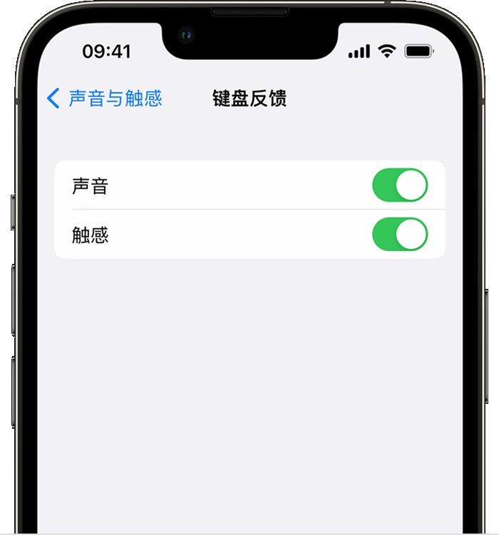 安宁苹果14维修分享iPhone 14 系列机型如何开启键盘声音或触感反馈 