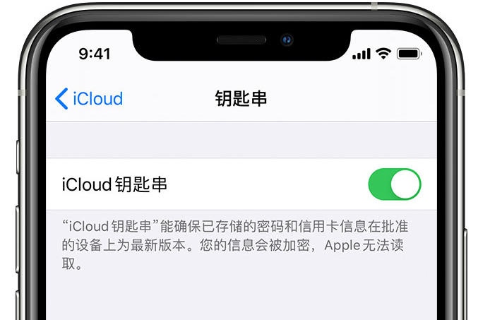 安宁苹果手机维修分享在 iPhone 上开启 iCloud 钥匙串之后会储存哪些信息 