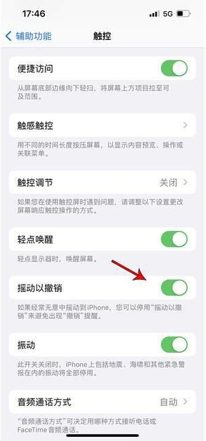 安宁苹果手机维修分享iPhone手机如何设置摇一摇删除文字 