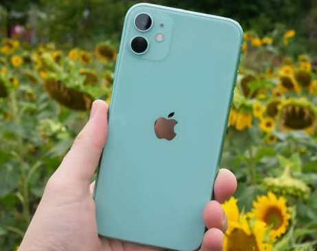 安宁苹果维修点分享iPhone 11锁屏密码认知与使用科普 